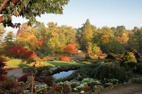 RHS Garden Wisley: The Rock Garden and Wild Garden at Wisley في الخريف