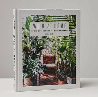 Wild at Home: كتاب الأناقة والعناية بالنباتات الجميلة