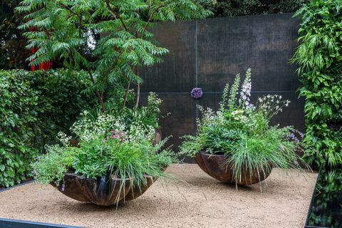 rhs chelsea flower show 2021 حدائق الحاويات