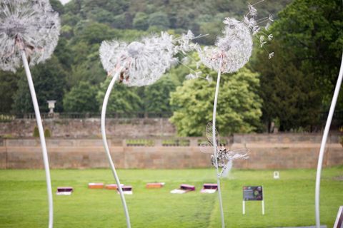 RHS Chatsworth Flower Show 2017 اليوم (الثلاثاء 6 يونيو 2017)