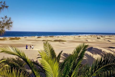 الكثبان الرملية، بسبب، Maspalomas، canaria gran، جزر الكناري، Spain