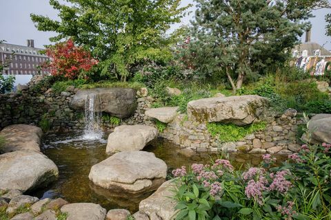 rhs chelsea flower show 2021 حديقة الملاذ