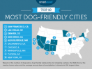 معظم المدن الصديقة للكلاب في الولايات المتحدة