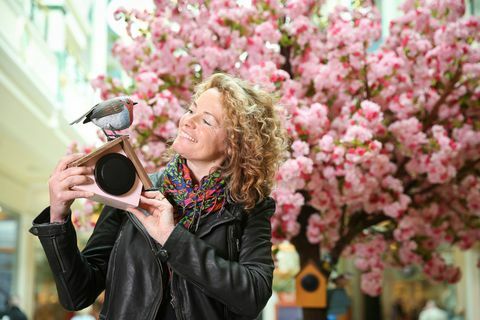 Kate Humble سقسقة شجرة