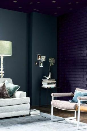 Dulux Galactic Sky الطلاء الظل