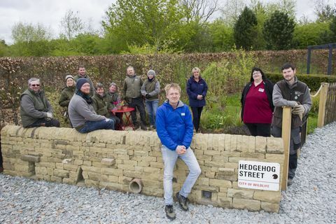 تم الكشف عن أول حديقة دائمة في شارع Hedgehog Street في المملكة المتحدة في RHS Harlow Carr ، شمال يوركشاير