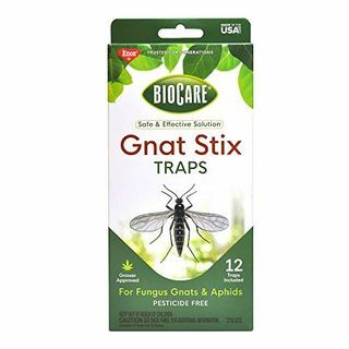 مصائد BioCare Gnat Stix