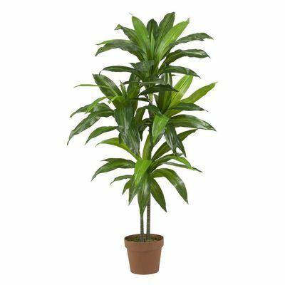 ريل تاتش 48 بوصة. H Green Dracaena Silk Plant