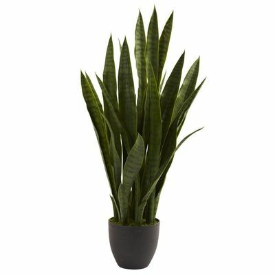 Sansevieria الاصطناعي مع زارع أسود