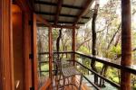 قام برنامج Treehouse Masters ببناء Treehouse لبركان هاواي يمكنك حجزه على Airbnb