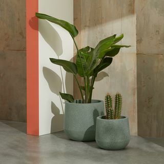 Colleta Fiber Cement Splatter Planters ، مجموعة من 2