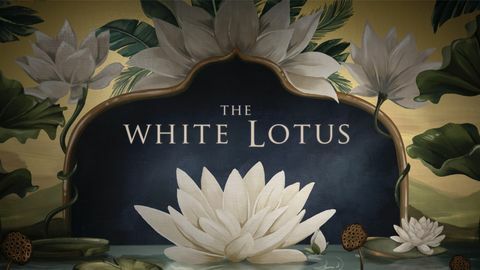 خلفية من الاعتمادات الافتتاحية لـ hbo's the white lotus